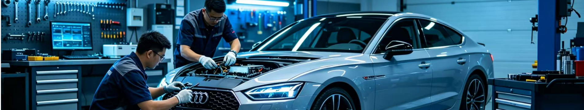 Автоуслуги Ensarus